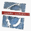 Henry Harvey - Home